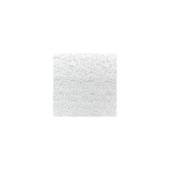 Ruban dentelle Tulipe blanc