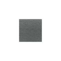 Ruban dentelle Tulipe gris