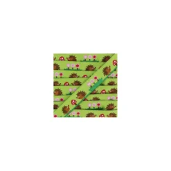 RubanHedgehogs and Flowers vert