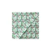 Ruban jacquard flamant rose 20 mm - vert clair