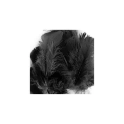Sachet de plumes duvet colorées - noir