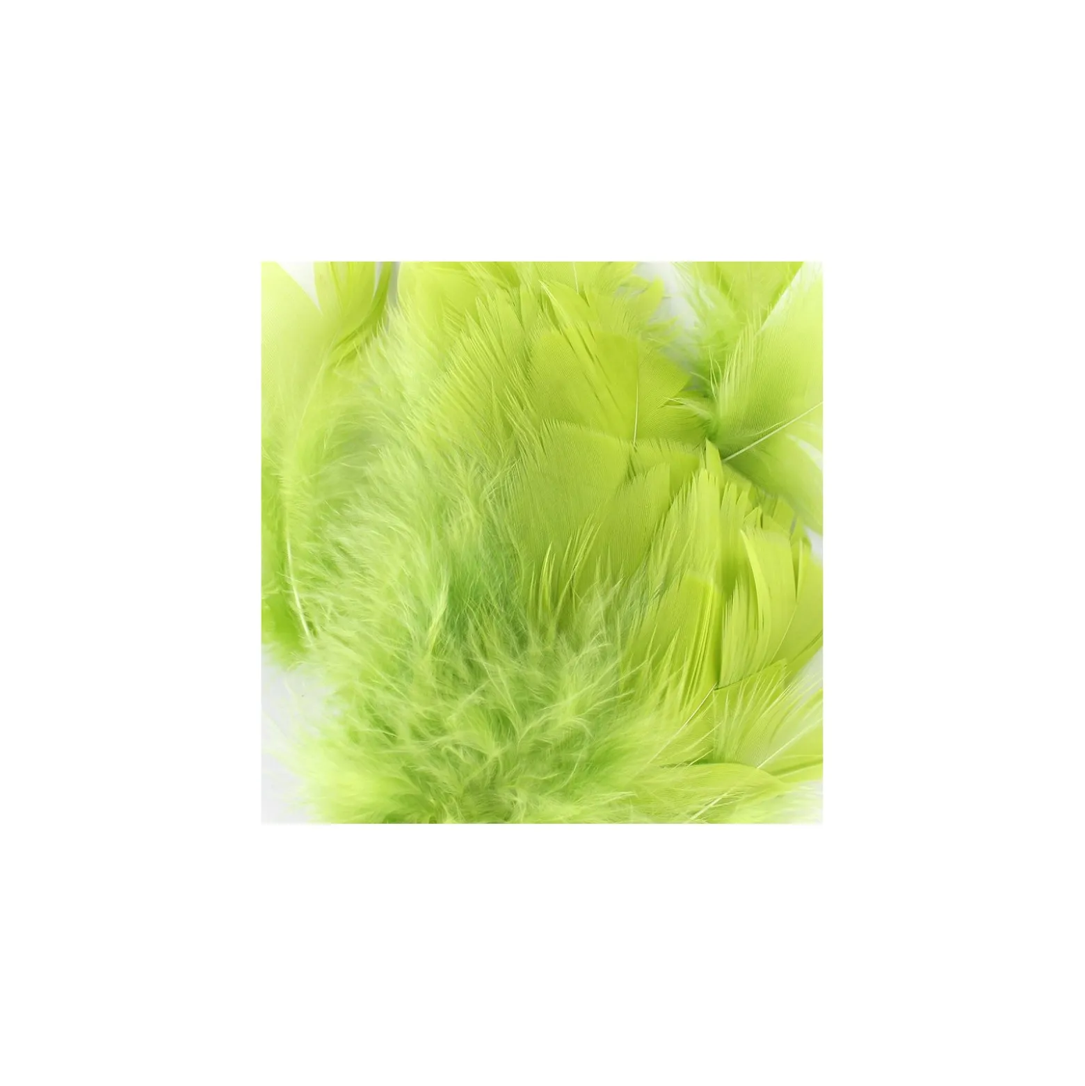 Sachet de plumes duvet colorées - vert
