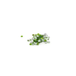 Strass rond à coudre India vert clair (lot de 100)