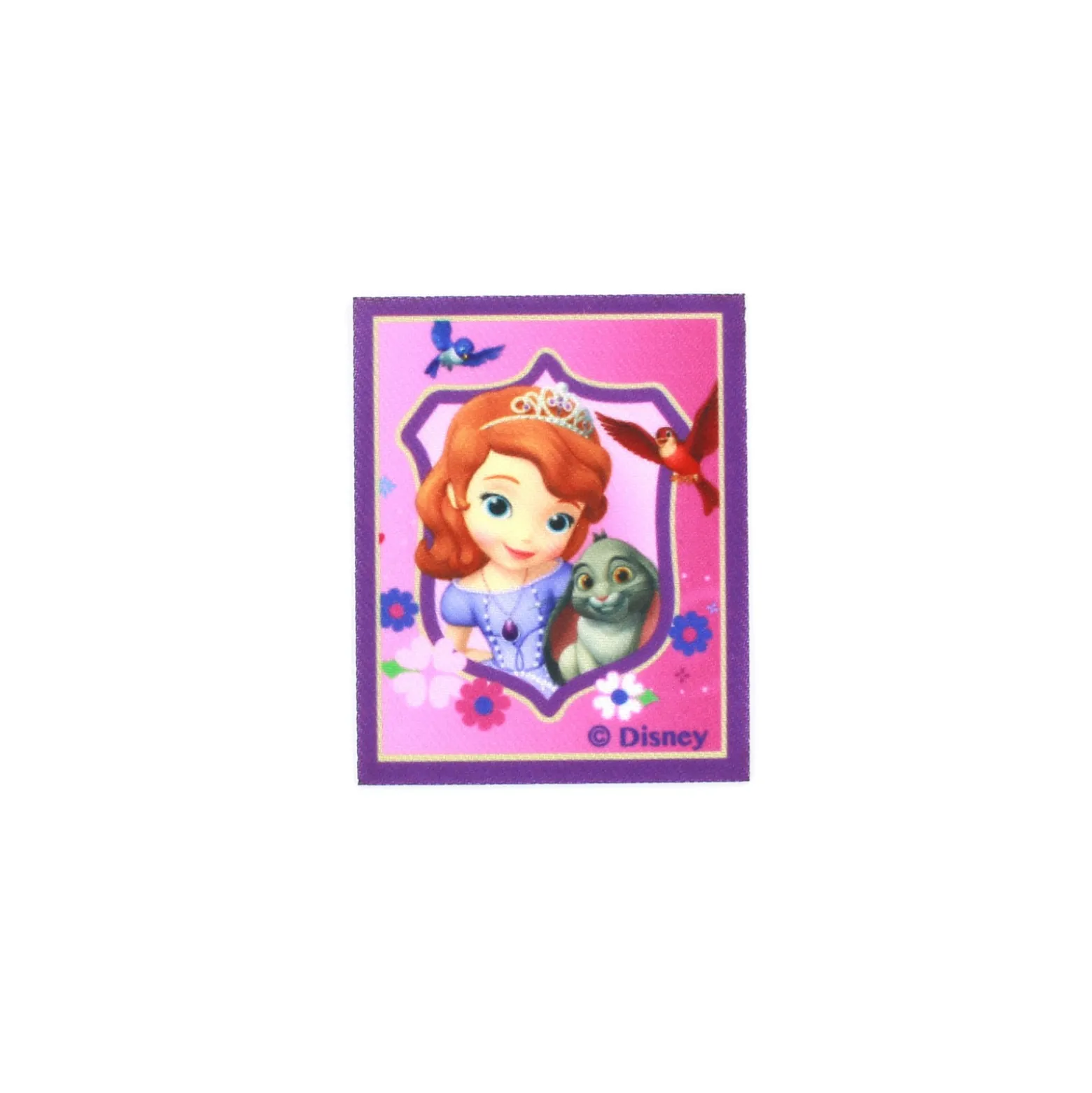 ♥ Thermocollant Toile Princesse Sofia et ses amis ♥
