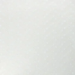 Tissu broderie anglaise Léontine - blanc cassé