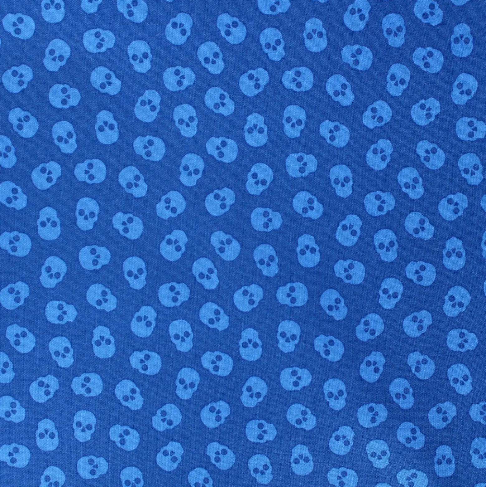 Tissu coton Andover Fabrics The Watcher - bleu marine
