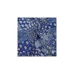 Tissu coton Farwest - bleu
