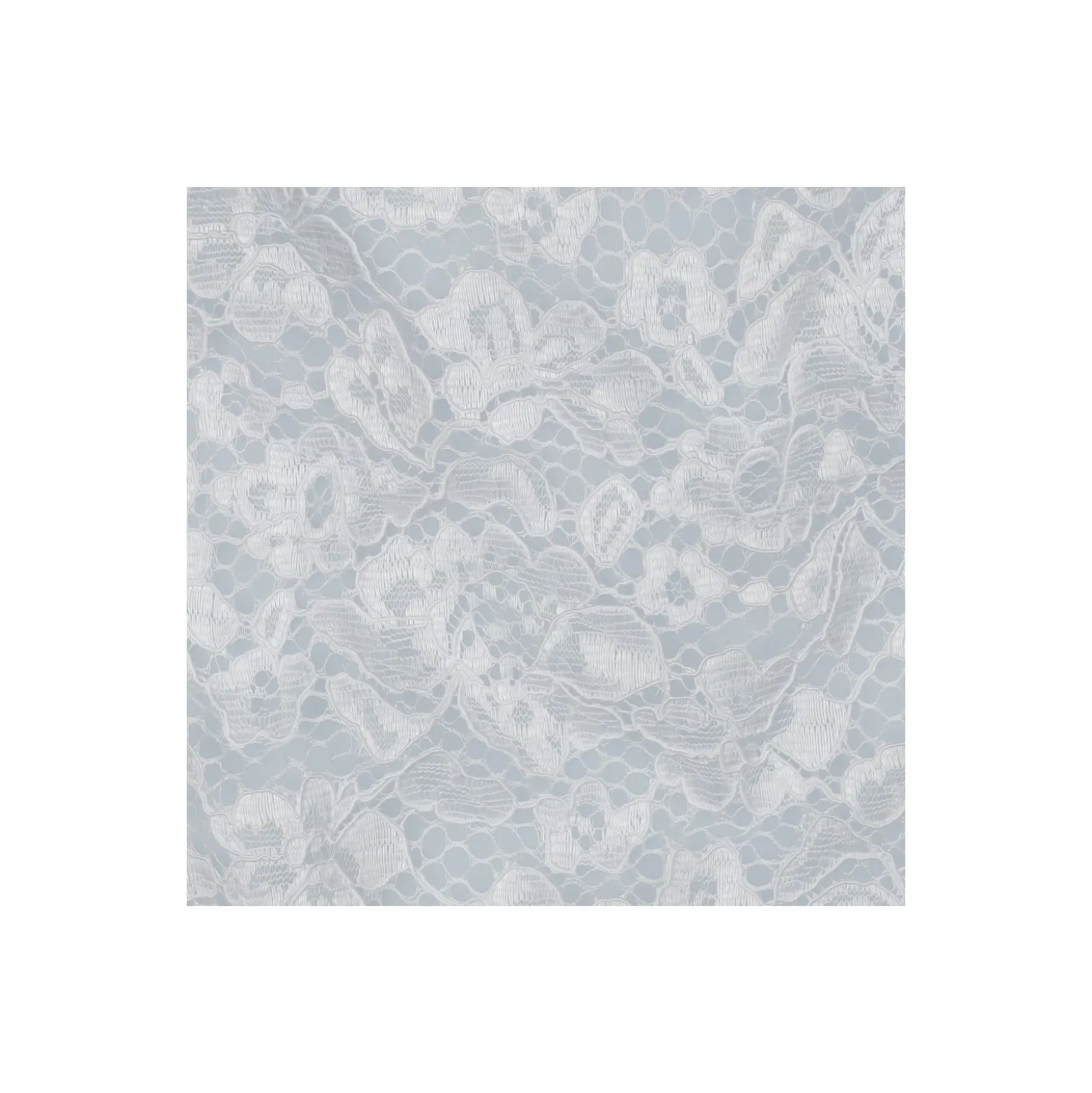 Tissu dentelle festonné - blanc