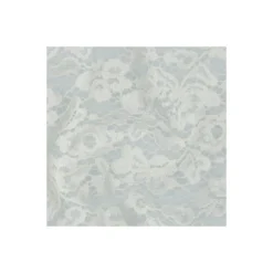 Tissu dentelle festonné - écru