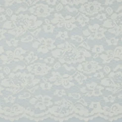 Tissu dentelle festonné - écru