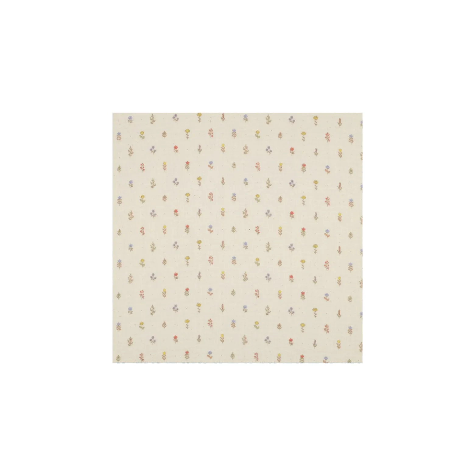 Tissu double gaze de coton Monette - écru