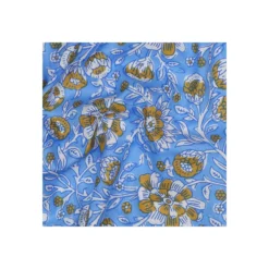Tissu indien Kerala