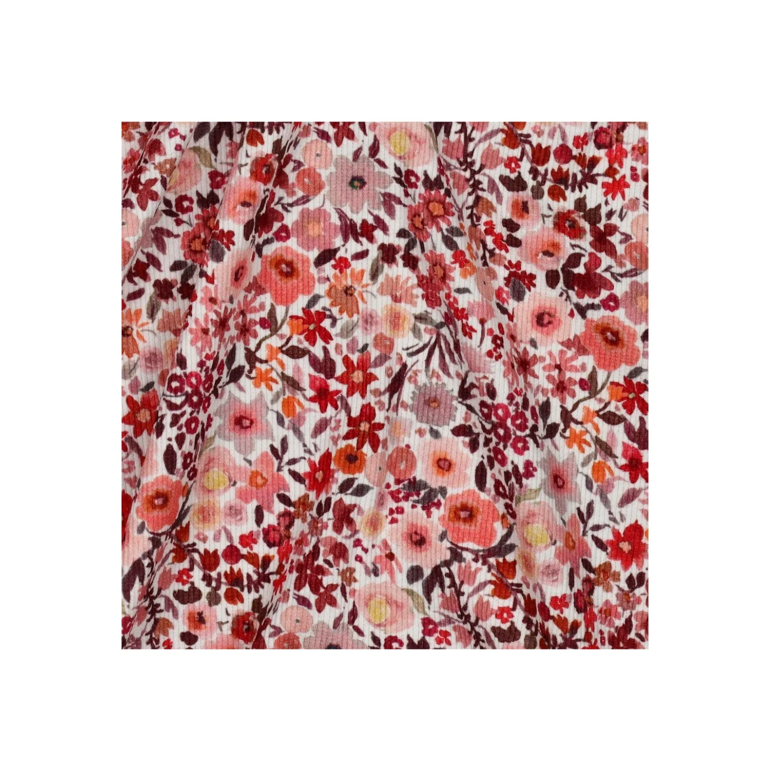Tissu jersey côtelé Rosalya - écru