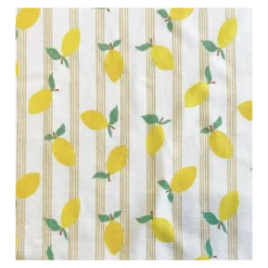 Tissu éponge monoface Lime - écru