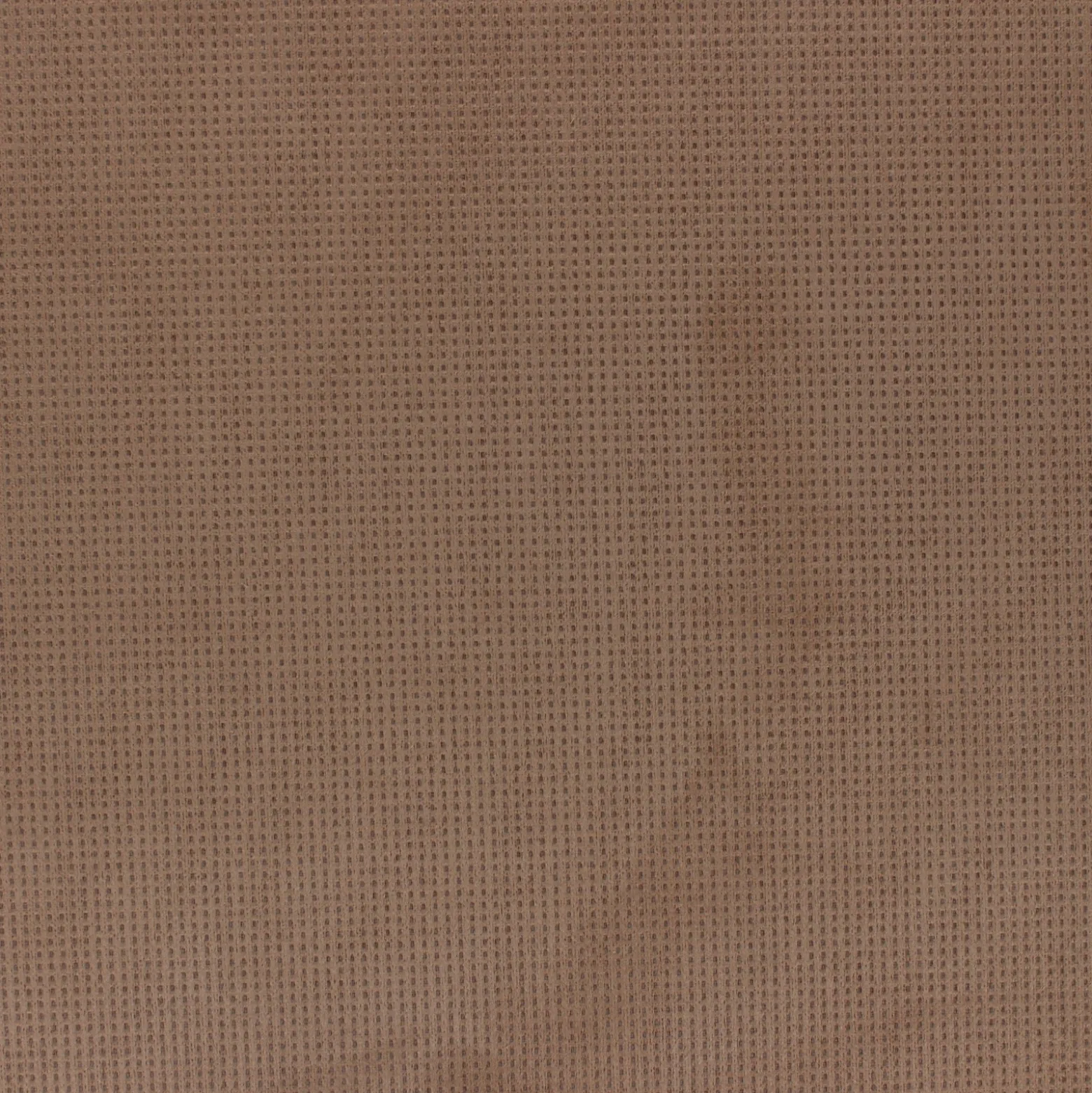 Tissu Suédine élasthanne Greta - camel